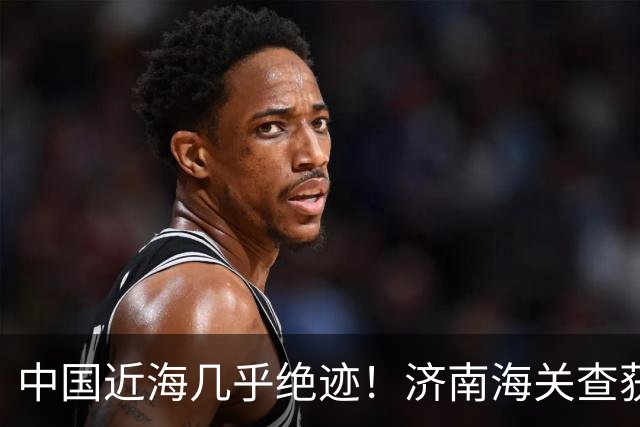 中国近海几乎绝迹！济南海关查获17只手镯，竟是由极危'国宝'制成