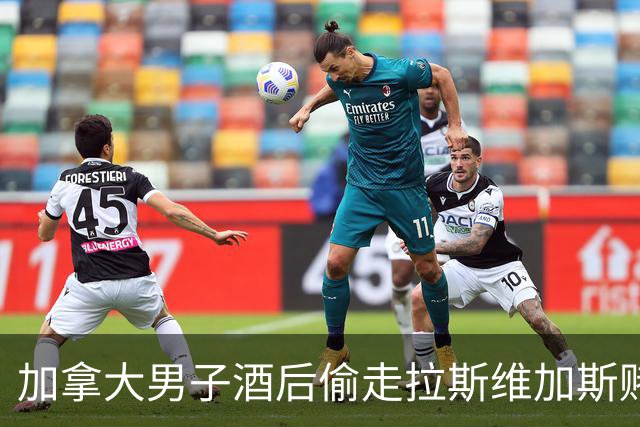 加拿大男子酒后偷走拉斯维加斯赌场火烈鸟，自称喝了30到40瓶啤酒；陪审团裁定其虐待动物罪成立，或面临近5年监禁